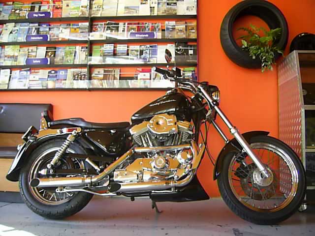 1991 XL1200 Custom Sportster