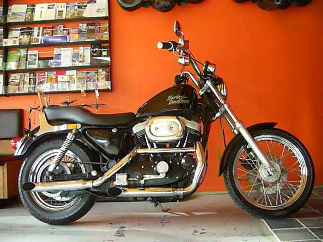 Xl883 Hugger Anniversary Model