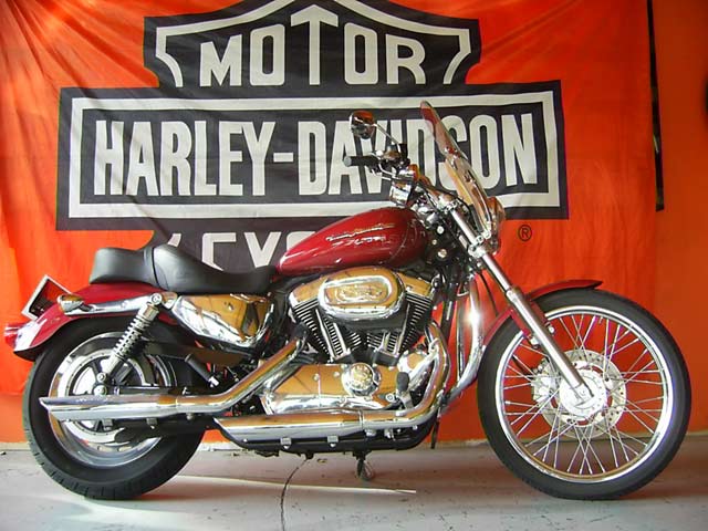 Harley Davidson XL1200 Sportster